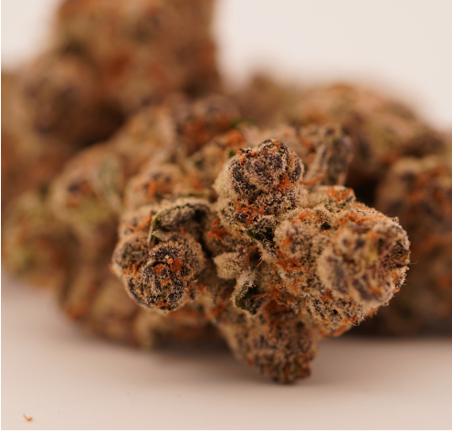 black-berry-2.jpg Dutt Pack